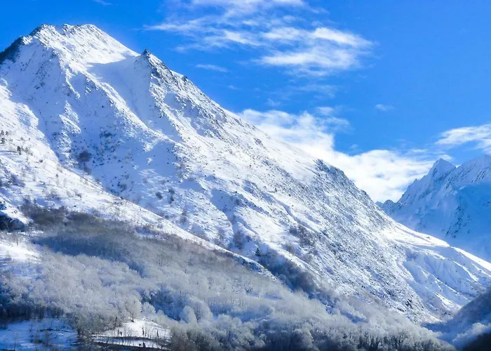 Апартаменты Pre De Bares